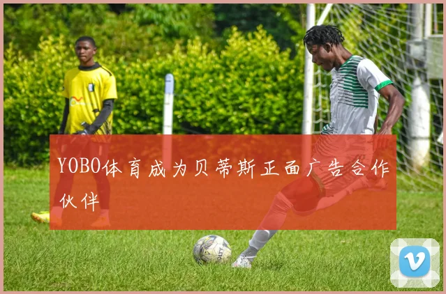 YOBO体育成为贝蒂斯正面广告合作伙伴