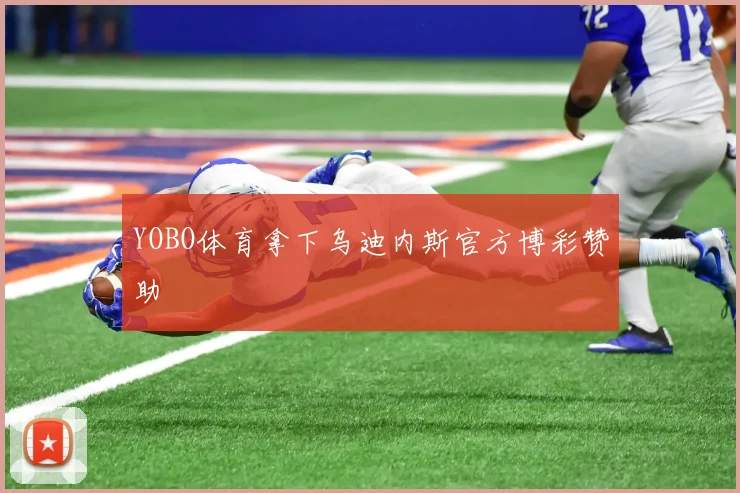 YOBO体育拿下乌迪内斯官方博彩赞助