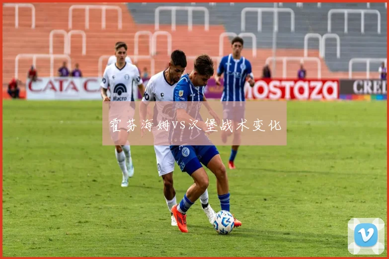 霍芬海姆vs汉堡战术变化