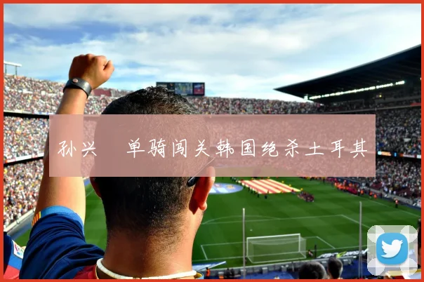 孙兴慜单骑闯关韩国绝杀土耳其
